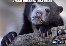 Tags: bitch, intolerable, she, wasn (Pict. in My r/ADVICEANIMALS favs)