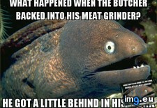 Tags: laid, old, one, year (Pict. in My r/ADVICEANIMALS favs)