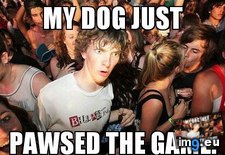Tags: causing, dog, game, paw, phone, reached, stop, suddenly, tapped (Pict. in My r/ADVICEANIMALS favs)