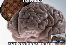 Tags: brain, prioritizing, scumbag, wrong (Pict. in My r/ADVICEANIMALS favs)