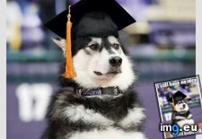 Tags: graduates, msu, she, sister, tomorrow (Pict. in My r/ADVICEANIMALS favs)