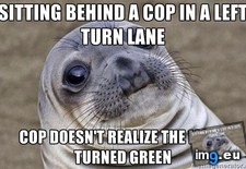 Tags: patiently, waited (Pict. in My r/ADVICEANIMALS favs)