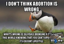 Tags: bringing, child, knowing, life, suffer, world (Pict. in My r/ADVICEANIMALS favs)