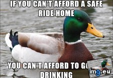 Tags: advice, holiday, safe (Pict. in My r/ADVICEANIMALS favs)