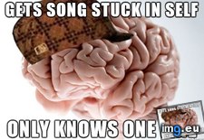 Tags: brain, musical, scumbag (Pict. in My r/ADVICEANIMALS favs)