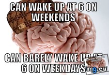 Tags: brain, happen, scumbag (Pict. in My r/ADVICEANIMALS favs)