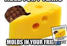 Tags: cheese, scumbag (Pict. in My r/ADVICEANIMALS favs)