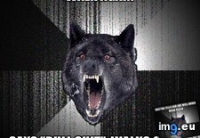 Tags: but, grandmother, insanity, needed, she, support, true, use, wobbled, wolf (Pict. in My r/ADVICEANIMALS favs)