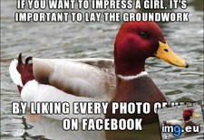Tags: advice, girl, rock, showing, solid, you (Pict. in My r/ADVICEANIMALS favs)