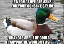 Tags: advice, clients, legal (Pict. in My r/ADVICEANIMALS favs)