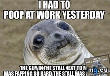 Tags: soooo, yeah (Pict. in My r/ADVICEANIMALS favs)