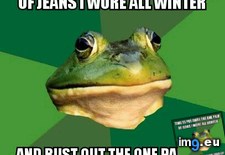 Tags: corner, spring (Pict. in My r/ADVICEANIMALS favs)