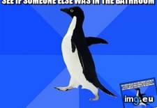 Tags: deafening, dropped, one, silence, sound, was (Pict. in My r/ADVICEANIMALS favs)