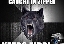Tags: insanity, lives, spirit, wolf (Pict. in My r/ADVICEANIMALS favs)