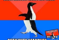 Tags: thinner, thought, walls (Pict. in My r/ADVICEANIMALS favs)