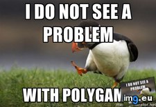 Tags: adults, all, are, consenting, not, problem, see (Pict. in My r/ADVICEANIMALS favs)