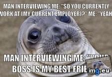 Tags: happened, interview, job, morning (Pict. in My r/ADVICEANIMALS favs)