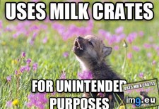 Tags: disregard, for, law, total (Pict. in My r/ADVICEANIMALS favs)