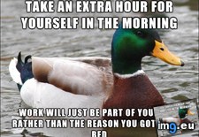 Tags: wake (Pict. in My r/ADVICEANIMALS favs)