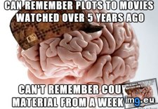 Tags: finals, for, realized, studying (Pict. in My r/ADVICEANIMALS favs)