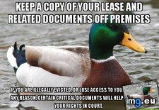 Tags: aggressive, dealing, landlord, overly (Pict. in My r/ADVICEANIMALS favs)