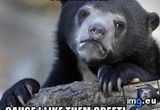 Tags: cycle, night, why (Pict. in My r/ADVICEANIMALS favs)