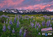 Tags: alpine, colorado, juan, meadow, mountains, rocky, san (Pict. in Beautiful photos and wallpapers)