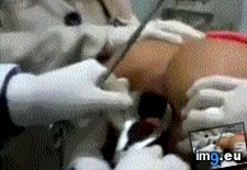 Tags: anal, analgif, collection, gif, gifs, pushing, sodomy, sodomygif (GIF in My r/ANAL favs)