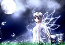 Tags: 1024x768, angel, anime, field, wallpaper, wallpaperhere (Pict. in Anime wallpapers and pics)