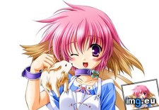 Tags: anime, dogs, funny, nice (Pict. in Anime wallpapers and pics)
