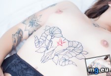 Tags: astarteah, boobs, emo, girls, hot, porn, sexy, sinceivebeenlovingyou, softcore, tits (Pict. in SuicideGirlsNow)