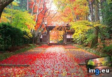 Tags: autumn, japan, wallpaper, wide (Pict. in Unique HD Wallpapers)