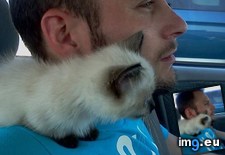 Tags: for, guy, hour, trip (Pict. in My r/AWW favs)