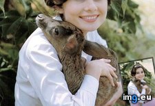Tags: audrey, fawn, hepburn, holding (Pict. in My r/AWW favs)