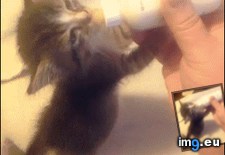 Tags: bedtime, routine (GIF in My r/AWW favs)