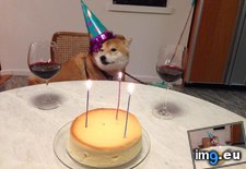 Tags: 3rd, all, birthday, friend, mom, out, party, she, thrilled, was (Pict. in My r/AWW favs)