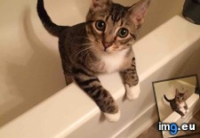 Tags: jumps, lou, meet, shower, tub (Pict. in My r/AWW favs)