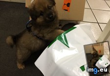 Tags: barricaded, office, saturday (Pict. in My r/AWW favs)