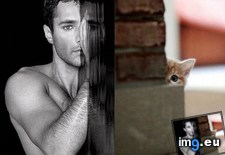 Tags: kittens, men (Pict. in My r/AWW favs)