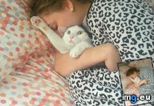 Tags: biting, cat, face, solution, wakes, wife, yelling (Pict. in My r/AWW favs)