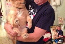 Tags: connection, dad, dog, special (Pict. in My r/AWW favs)