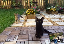 Tags: garden, got, new, residents (Pict. in My r/AWW favs)