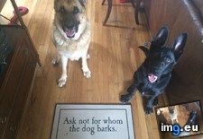 Tags: arrived, doormat (Pict. in My r/AWW favs)