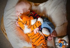 Tags: buddy, calvin, calvinandhobbes, hobbes, son (Pict. in My r/AWW favs)