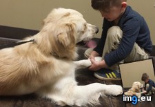 Tags: dog, giving, pep, quick, son, talk, vet (Pict. in My r/AWW favs)