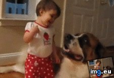 Tags: big, child, dog, small (GIF in My r/AWW favs)