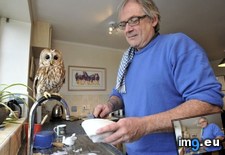 Tags: afraid, guy, one, outdoors, owl, owls, refuses, rescues (Pict. in My r/AWW favs)