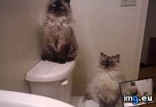 Tags: shower, time, wait (Pict. in My r/AWW favs)