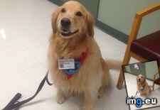 Tags: beautiful, girl, hospital, love, our, patients, staff, works (Pict. in My r/AWW favs)