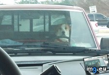 Tags: creep, gas, pumped, sat, stared, time, truck (Pict. in My r/AWW favs)